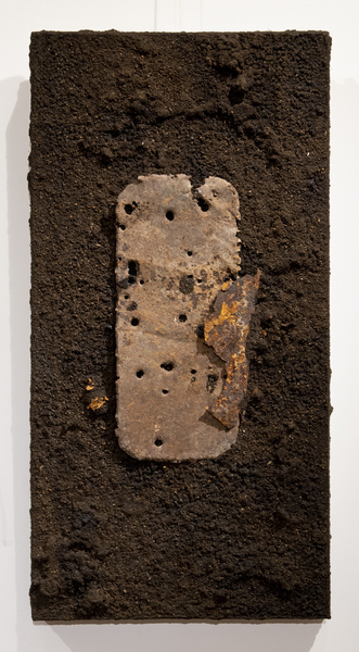 Soil series 8, 2025