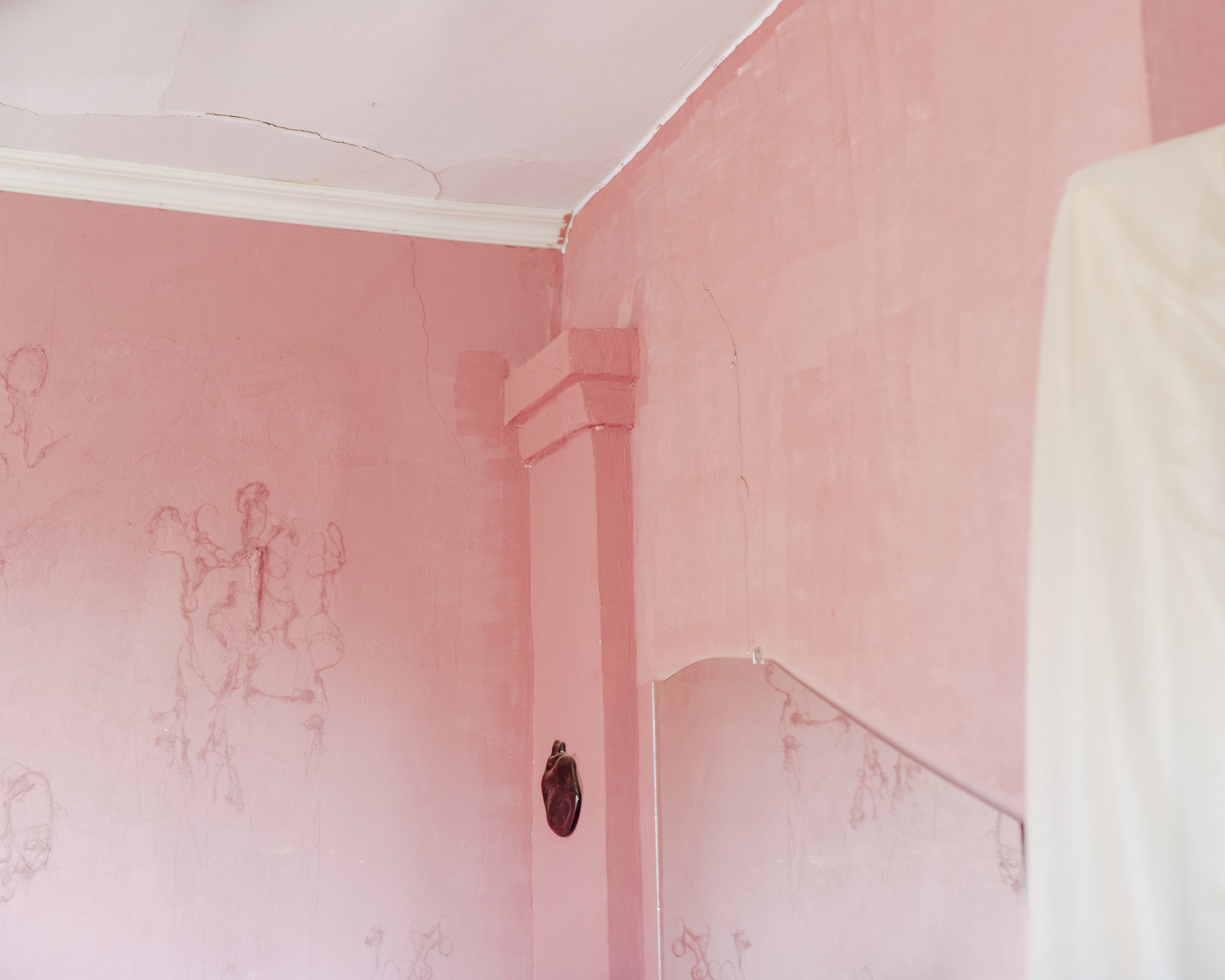Home? III. Из серии «Люты»