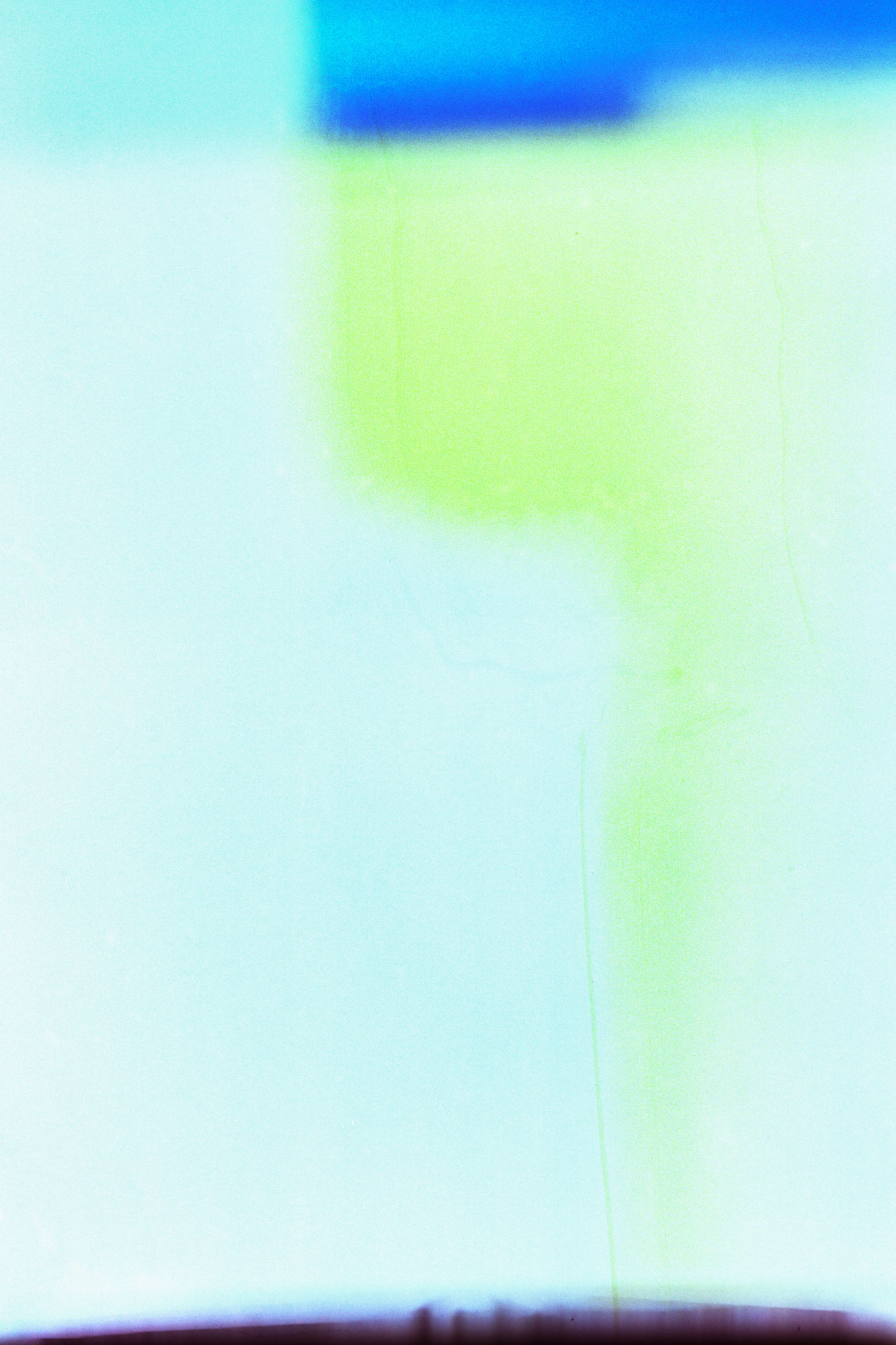 Blood of Color