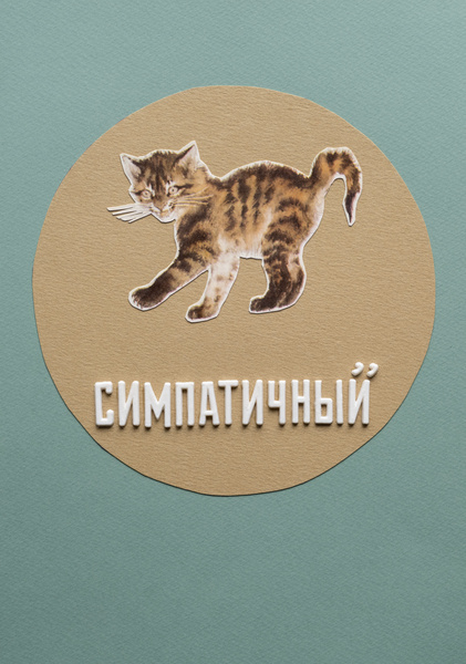 Без названия