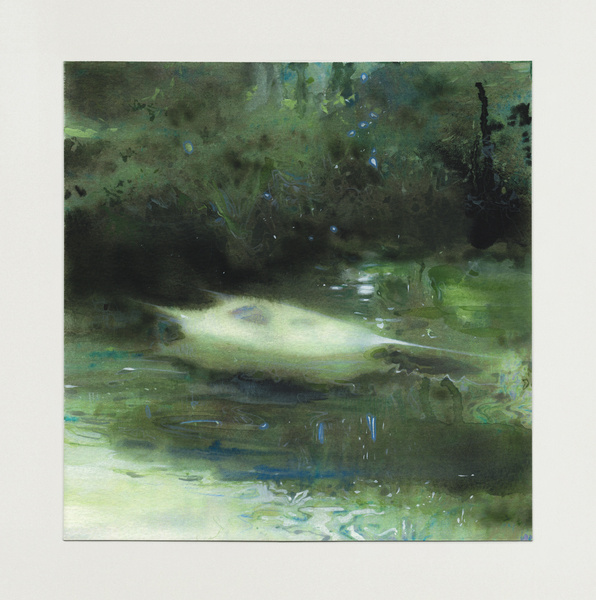 Floaters. May