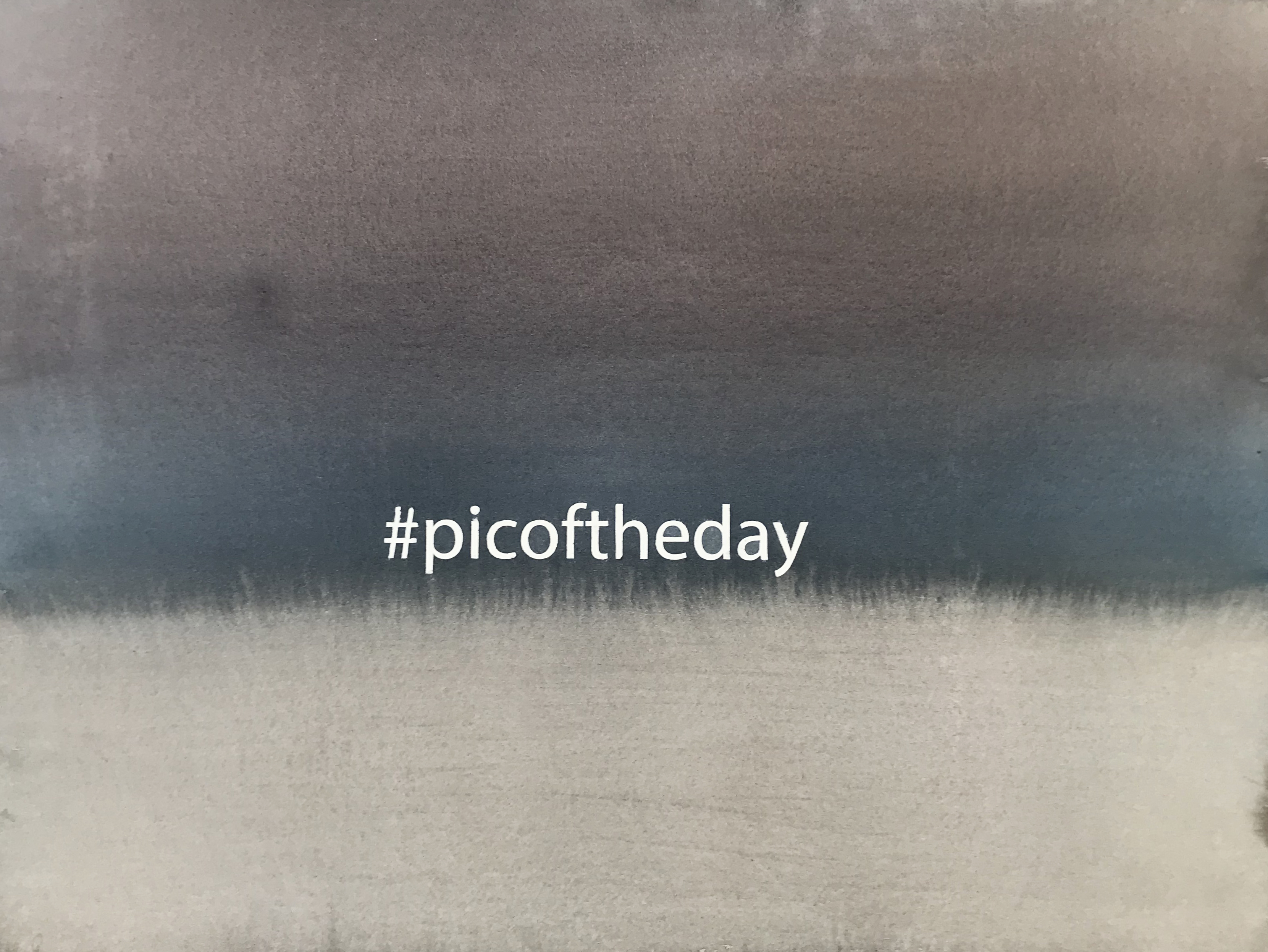 #picoftheday