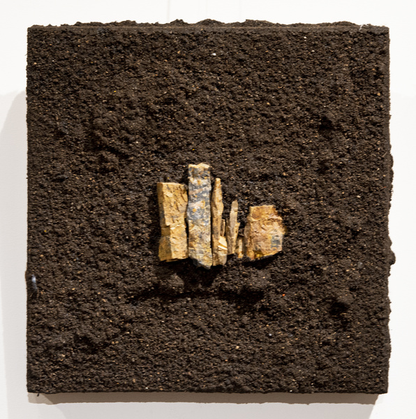 Soil series 5, 2025