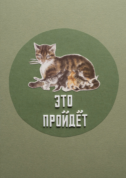 Без названия