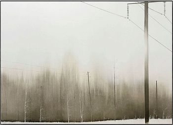Блеск