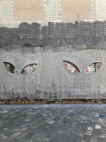 Из серии «‎Вырезанные глаза»‎