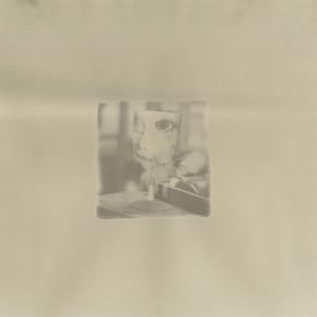 Без названия