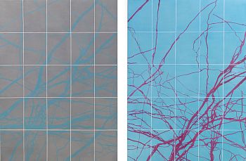 Тени симметрии