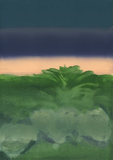 Gap. Garden - 32. Zanzibar 1 Palm