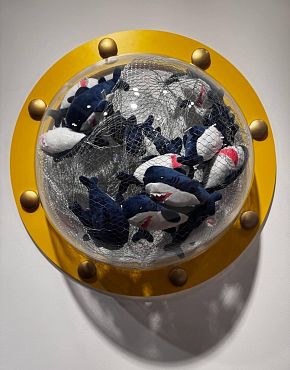 Baby Sharks Go Round. The Network Series