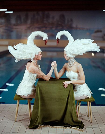 Все хотят лебедем