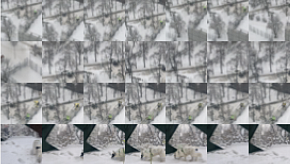 Fragments 15. Из серии «Fragments». Проект «Memory/oversaturated»