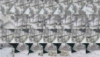 Fragments 15. Из серии «Fragments». Проект «Memory/oversaturated»