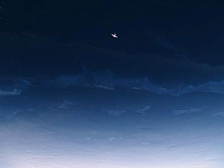 Птица в ледяном небе окна