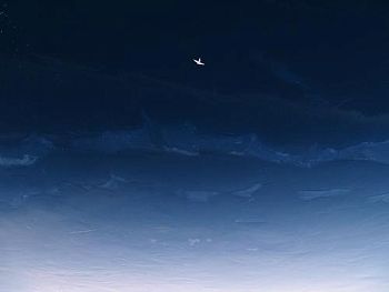 Птица в ледяном небе окна