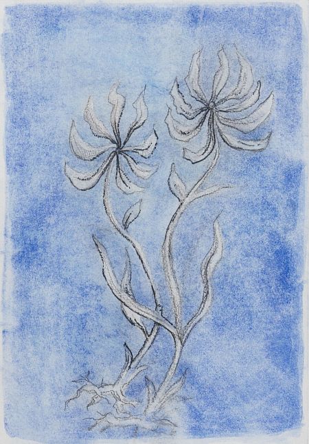 Из серии «Пустоцвет»