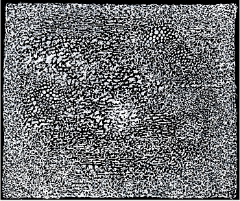 Из серии «Онтография»