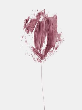 Язык цветов