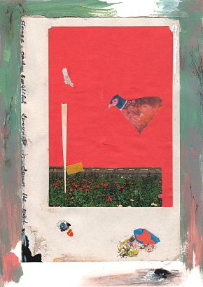 Strange and beautiful dreamer