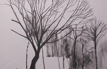 Из серии «Вычитание домов из деревьев»