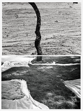 ПОКРЫТАЯ ЗЕМЛЯ DUO 01