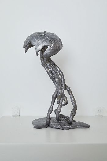 Jellyfish #10