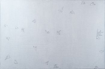 Созвездие 3691