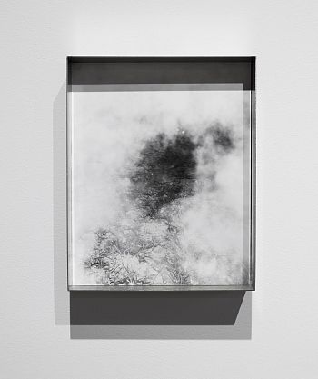 Pale shelter. Из серии «Pale Shelters»