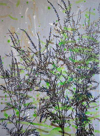 «Сорные травы» (6)