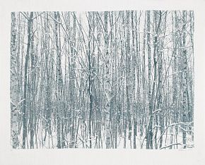 Зима. Из серии «Времена года»