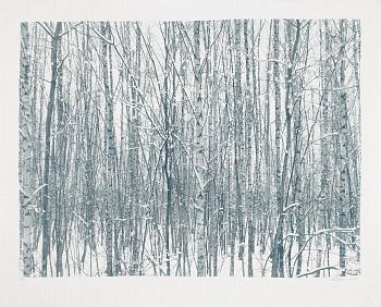 Зима. Из серии «Времена года»