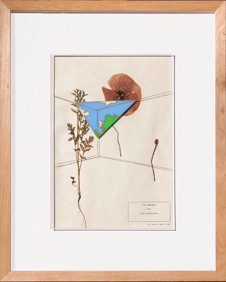 Мак-самосейка