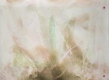 Sublime landscapes / Гибридные ландшафты