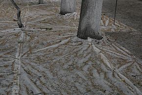 ПОКРЫТАЯ ЗЕМЛЯ 04