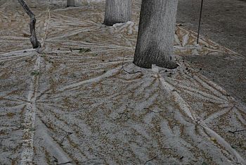 ПОКРЫТАЯ ЗЕМЛЯ 04