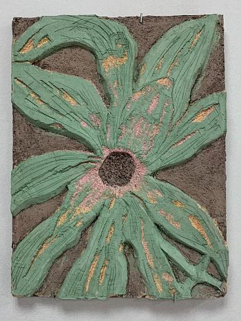 Встреченные растения