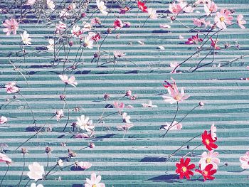 Виниловые цветы