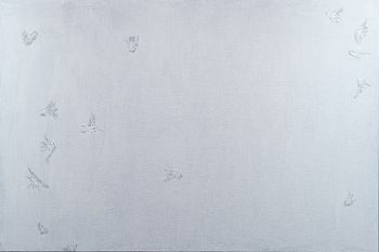 Созвездие 7319