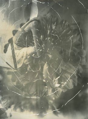 Без названия