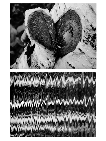 Построение метафор