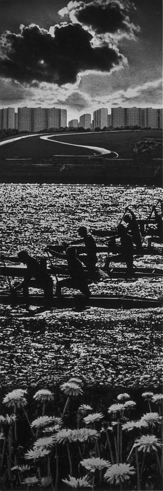 Гребной канал, Москва