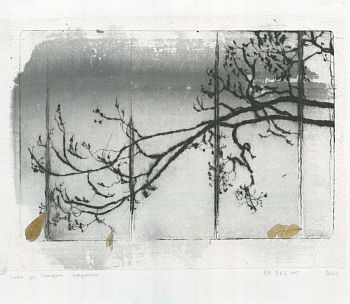 Сосна на улице Погодина, шинколле тушь и листики