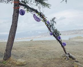 Wedding. Из серии «Люты»