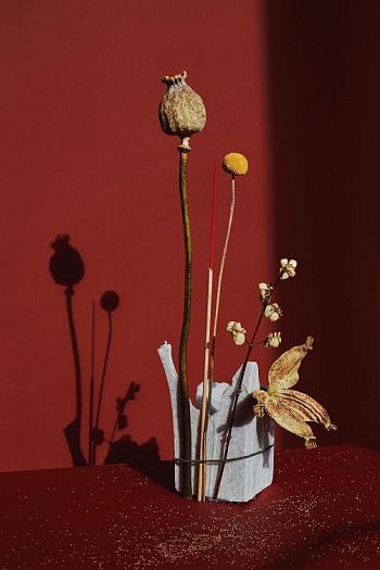 Floral serenade_1
