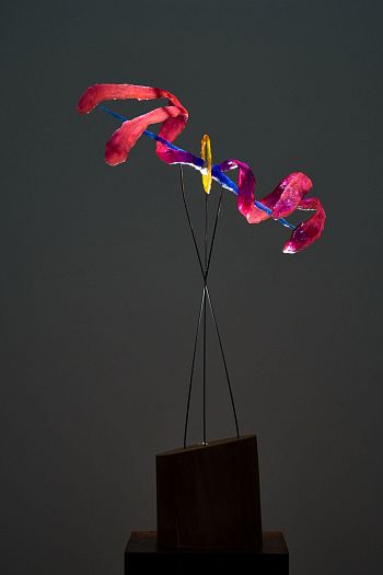 Проект планетарной туманности CAPOS(PN)_0008 в созвездии Кита