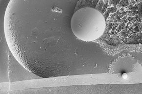 Бухта Лунной Пыли (#1)