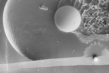 Бухта Лунной Пыли (#1)