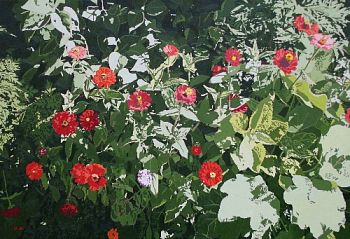 Из цикла "Эхинацеи и цинии" №2