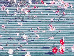 Виниловые цветы