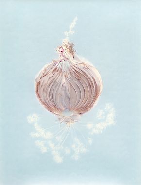 Луковицы времени 2